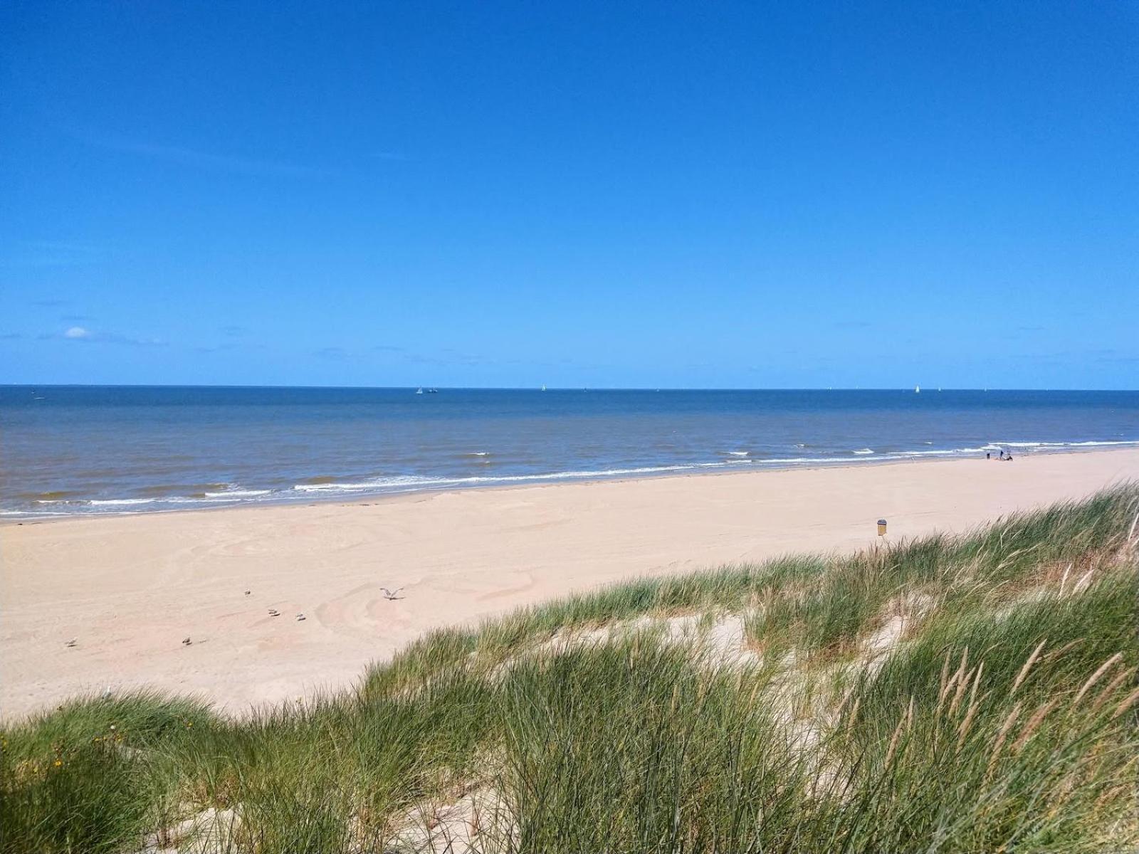 Strandchalet Bredene Exteriör bild