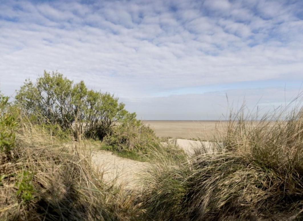 Strandchalet Bredene Exteriör bild